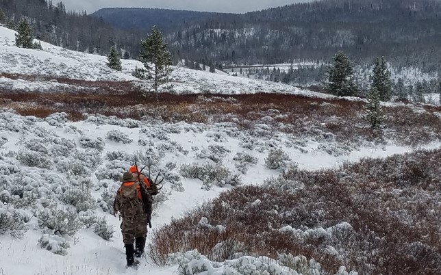 backcountry hunting or wilderness hunting with soda peak outfitters