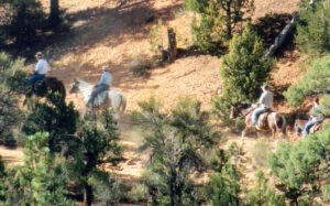 A different group of riders on a horseback trail ride in jackson hole