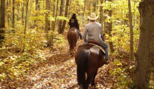 two people riding horses in the fall on a horseback trial ride