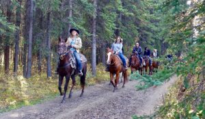 a group of people taking a horseback trail ride in the forest possibly Bridger-Teton Forest in Jackson Hole Near Teton Park