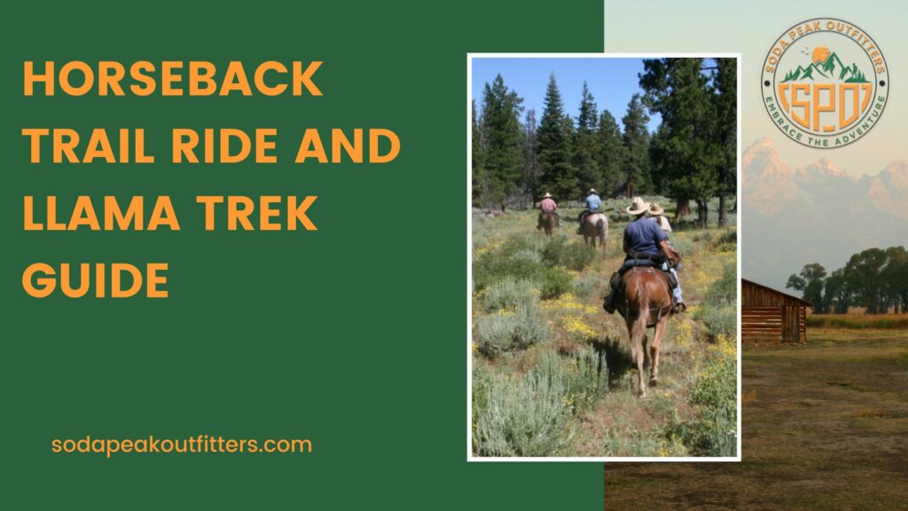 Horseback Trail Ride and Llama Trek Guide