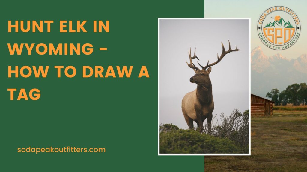 Hunt Elk In Wyoming - How To Draw A Tag