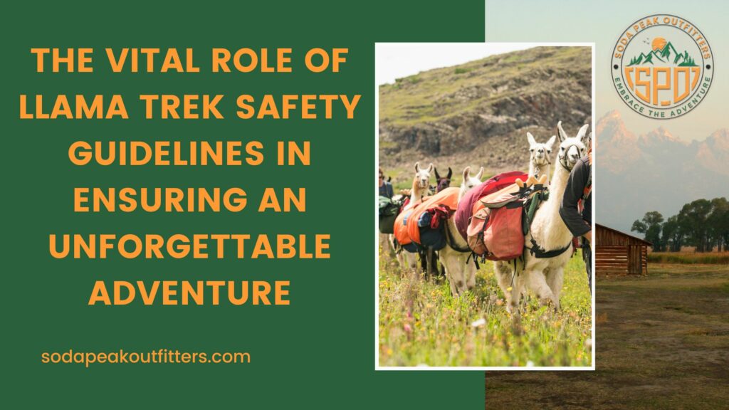 The Vital Role of Llama Trek Safety Guidelines in Ensuring an Unforgettable Adventure