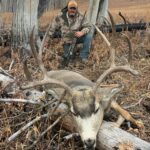 Wyoming Guided Hunting Trips - Mule Deer
