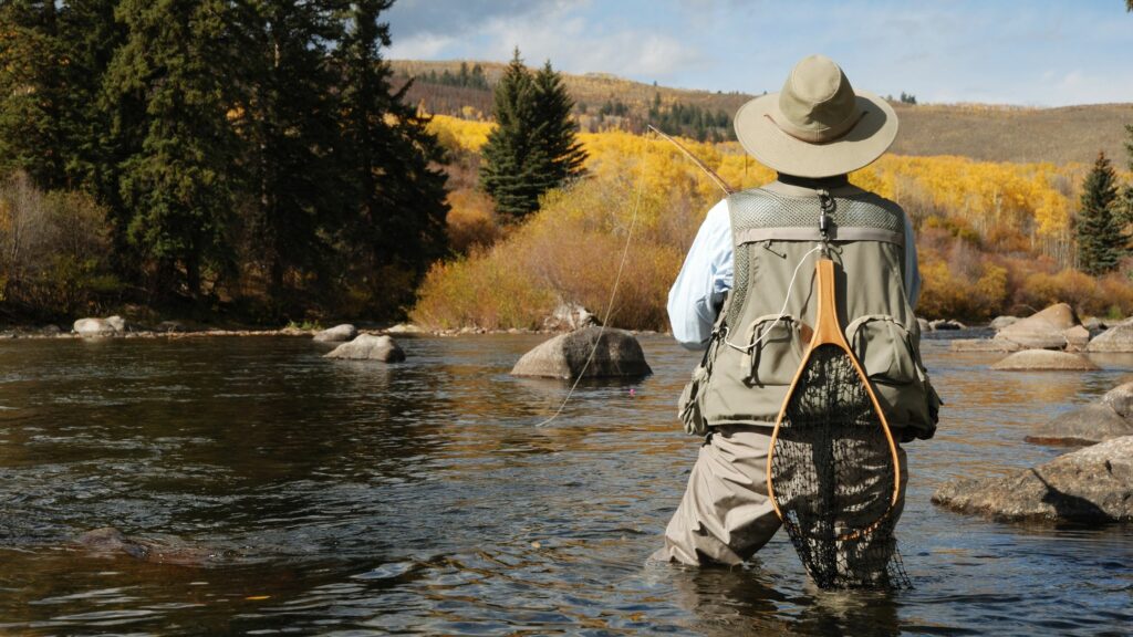a man fly fishing in the headwaters of the yellowstone river in the thorofare